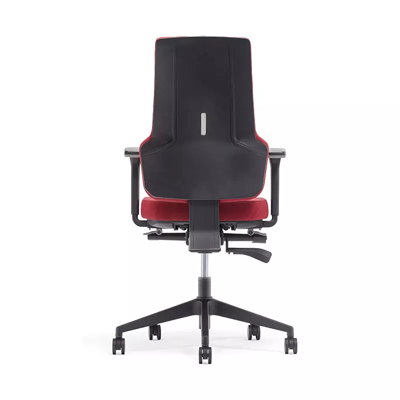 Migliore Home Office High Back Computer Task Chair con Back Support-T6 Era 