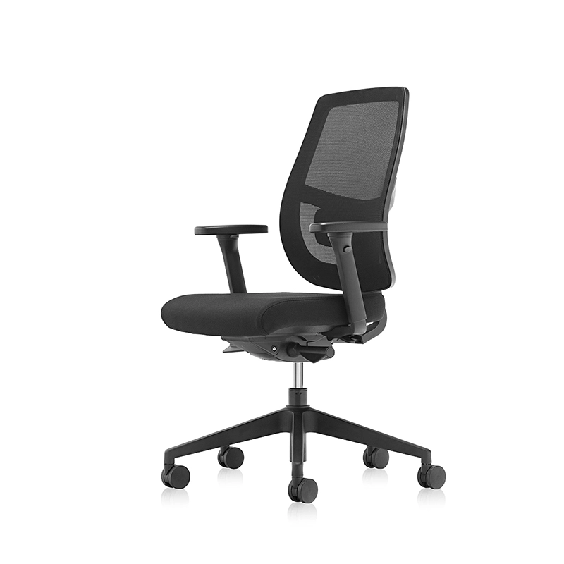 Sedia ergonomica per ufficio posteriore in rete con supporto lombare regolabile-T7 Grace-EU 