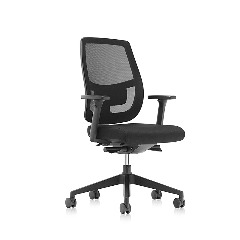 Sedia ergonomica per ufficio posteriore in rete con supporto lombare regolabile-T7 Grace-EU 