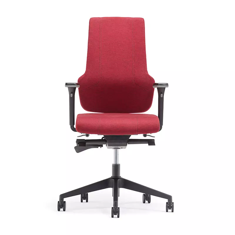 Migliore Home Office High Back Computer Task Chair con Back Support-T6 Era 