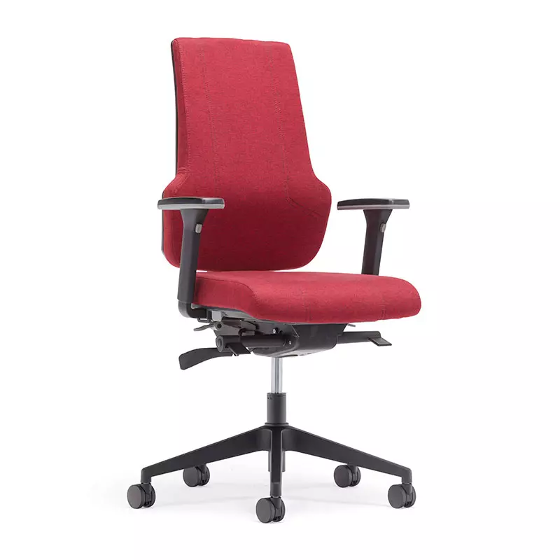 Migliore Home Office High Back Computer Task Chair con Back Support-T6 Era 