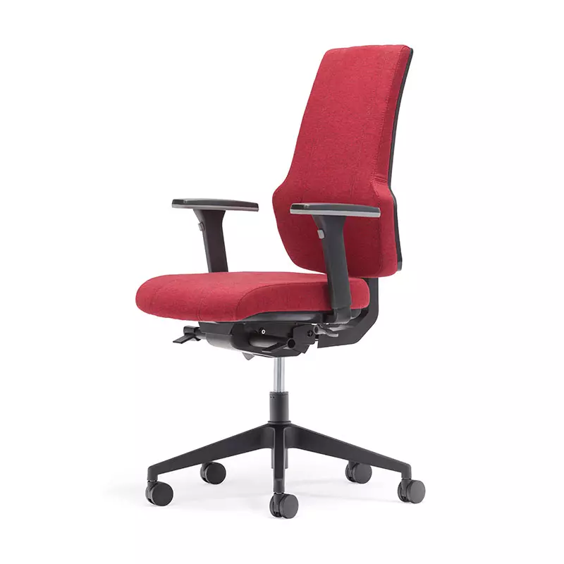 Migliore Home Office High Back Computer Task Chair con Back Support-T6 Era 