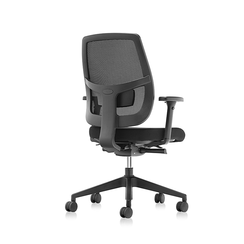 Sedia ergonomica per ufficio posteriore in rete con supporto lombare regolabile-T7 Grace-EU 