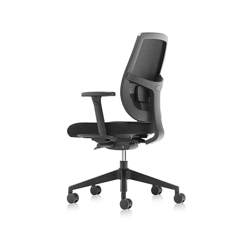 Sedia ergonomica per ufficio posteriore in rete con supporto lombare regolabile-T7 Grace-EU 