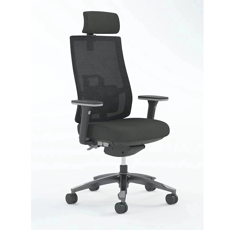 Best Ergonomic Mesh Executive Office Chair con poggiatesta-E10 Miro 