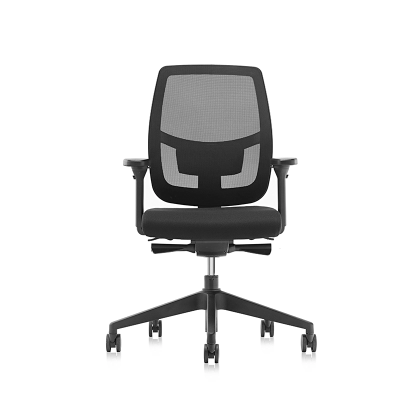 Sedia ergonomica per ufficio posteriore in rete con supporto lombare regolabile-T7 Grace-EU 